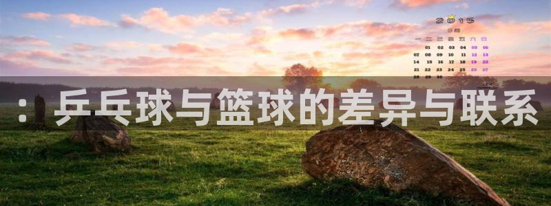 球皇社是正规软件吗