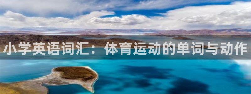 球皇杜