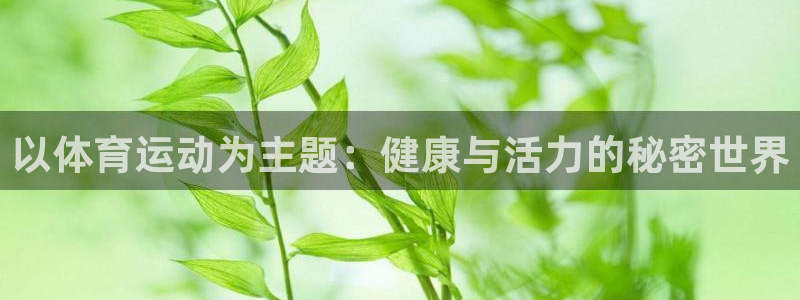 球皇无双：以体育运动为主题：健康与活力的秘密世界