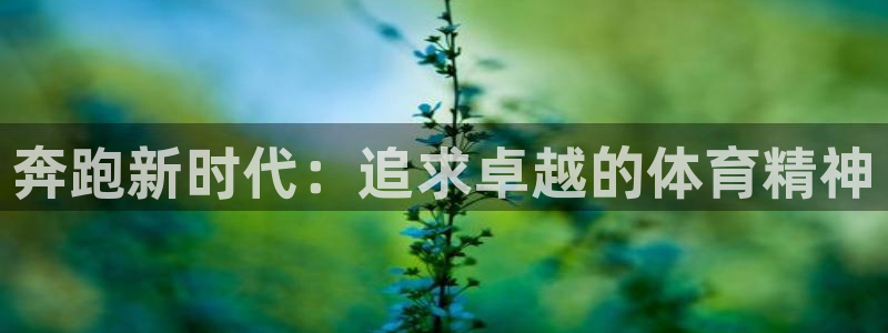 球皇看球