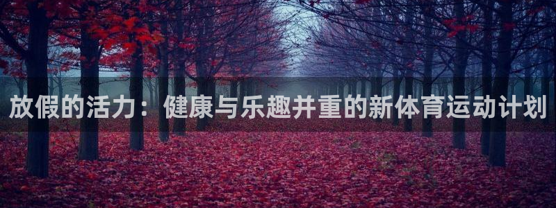 球皇社NBA直播免费观看：放假的活力：健康与乐趣并重的新体育运动计划