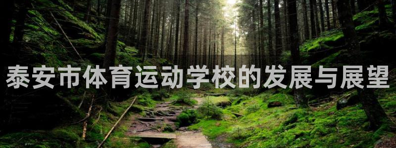 球皇直播网jrs：泰安市体育运动学校的发展与展望