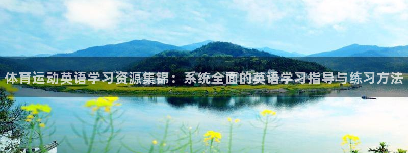 球皇社是正规软件吗