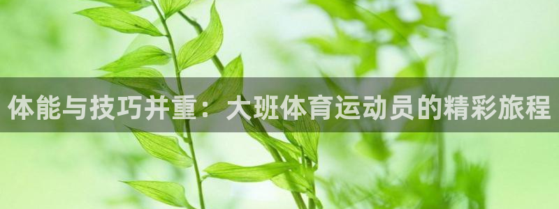 球皇看球最新版