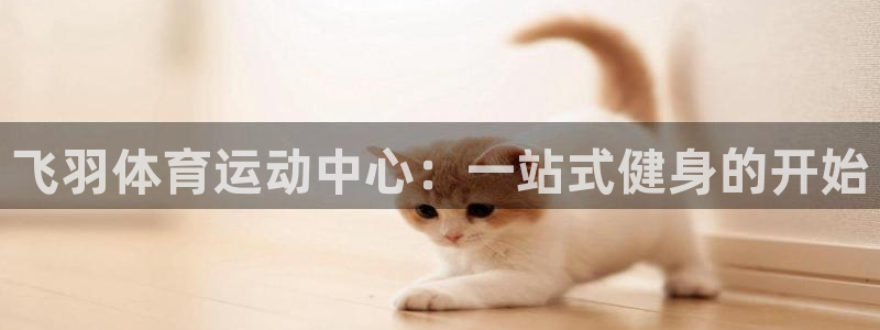 球皇：飞羽体育运动中心：一站式健身的开始