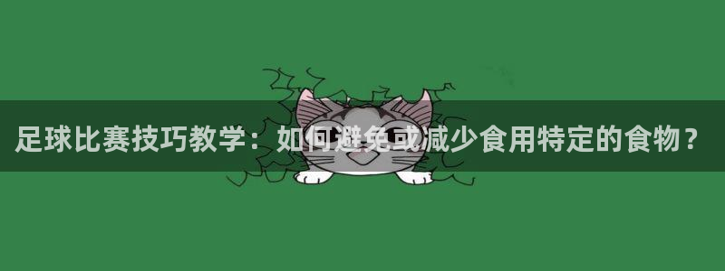 球皇社NBA直播