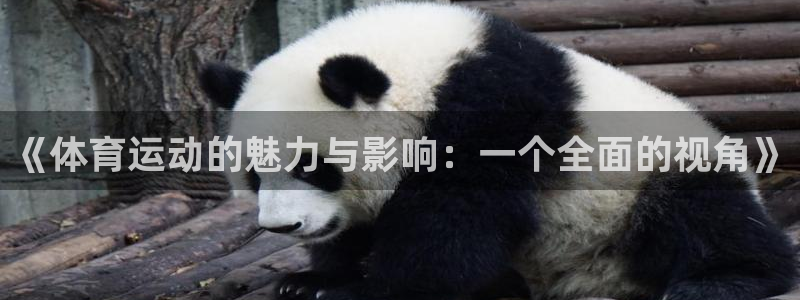 球皇直播间