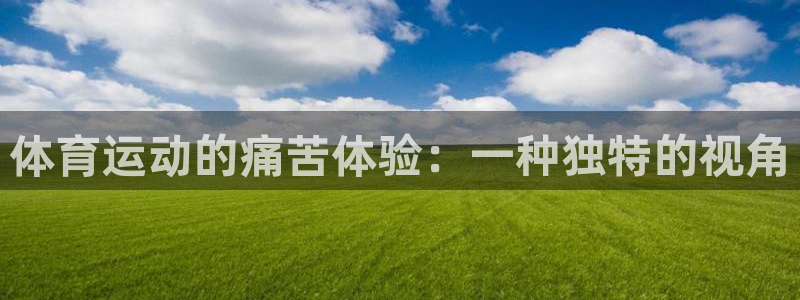 9球皇后：体育运动的痛苦体验：一种独特的视角