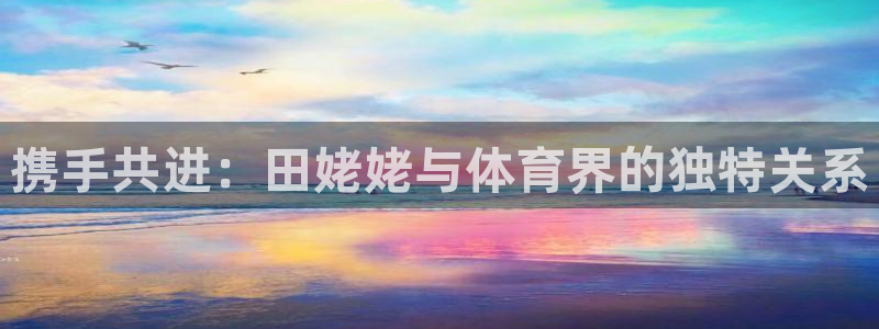 球皇社是正规软件吗